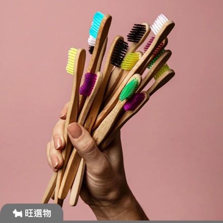 THE HUMBLE CO. | 瑞典天然竹製牙刷 5入組